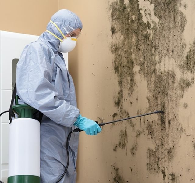 A mold removal technician in a protective suit sprays a wall with mold treatment in Las Vegas, NV.