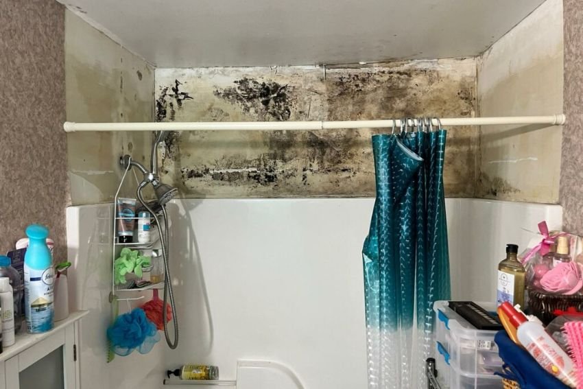 A bathroom with visible mold on the walls and shower curtain, illustrating the necessity for mold removal in Las Vegas, NV.