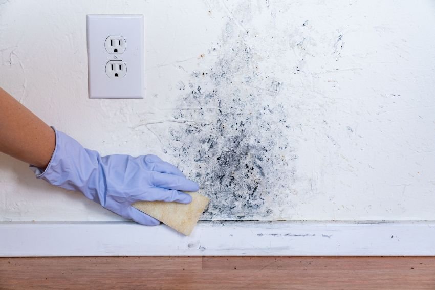 A bathroom with visible mold on the walls and shower curtain, illustrating the necessity for mold removal in Las Vegas, NV.