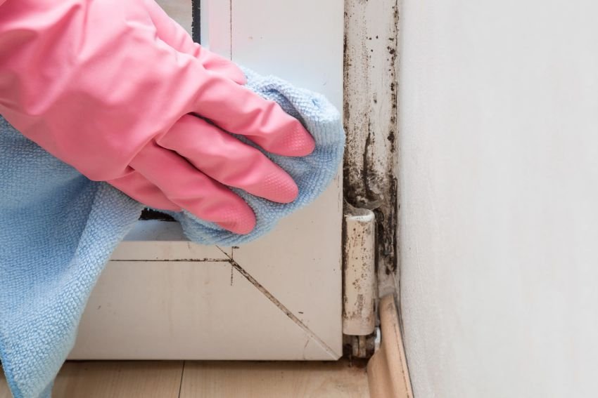 A person with pink gloves is cleaning a window, highlighting a wood mold removal service in Las Vegas, NV.