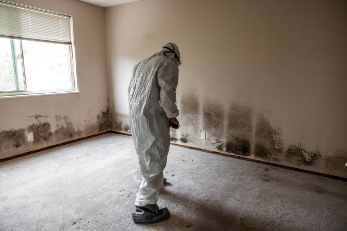 A person in protective gear inspects a mold-infested room with dark stains on the walls and carpet, highlighting deterioration and neglect.