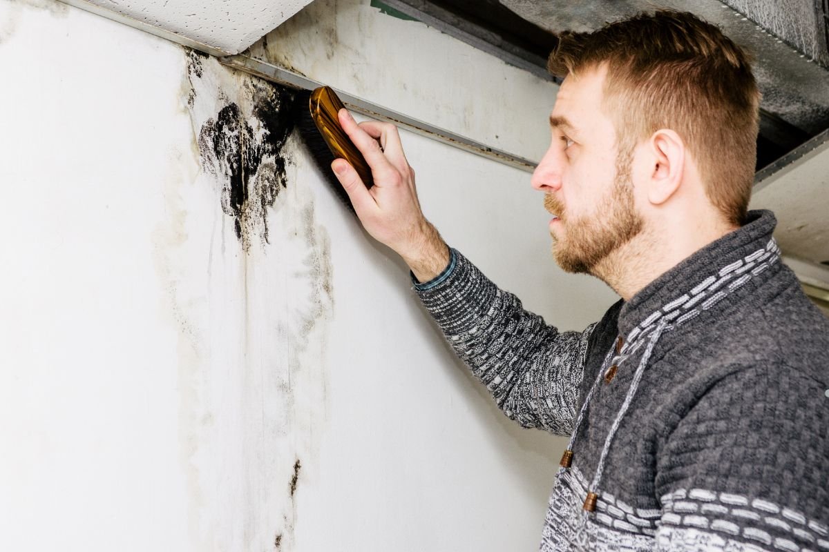 A person examines a wall with black mold stains, using a handheld tool to assess the damage in a dimly lit space.