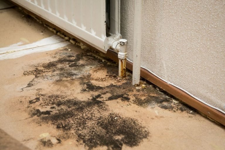 Moisture damage beneath a radiator, with visible mold and water stains on the floor, indicating potential leaks or poor ventilation.