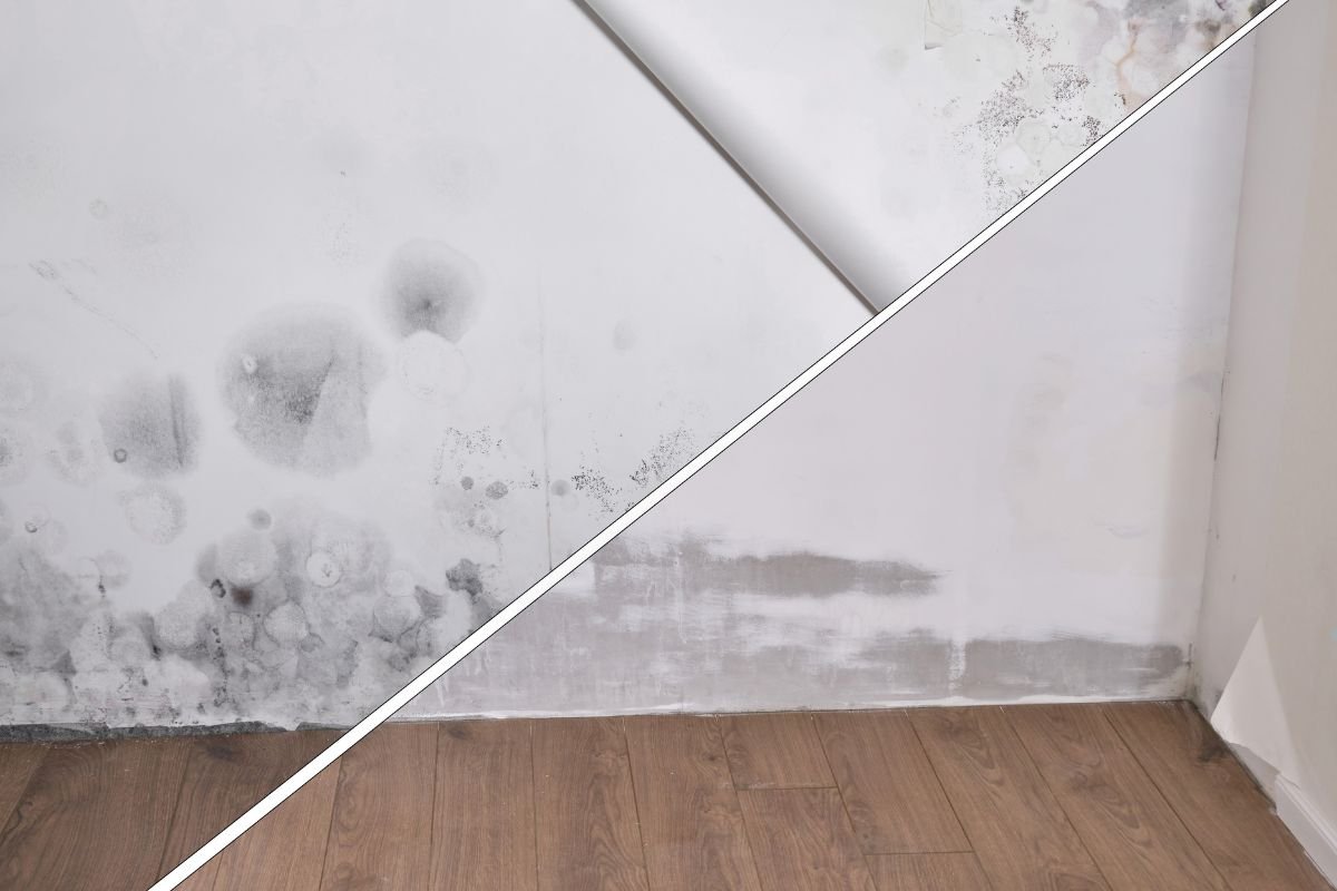 A technician performing mold removal in a home, showcasing the process of cleaning and restoring a safe living environment.