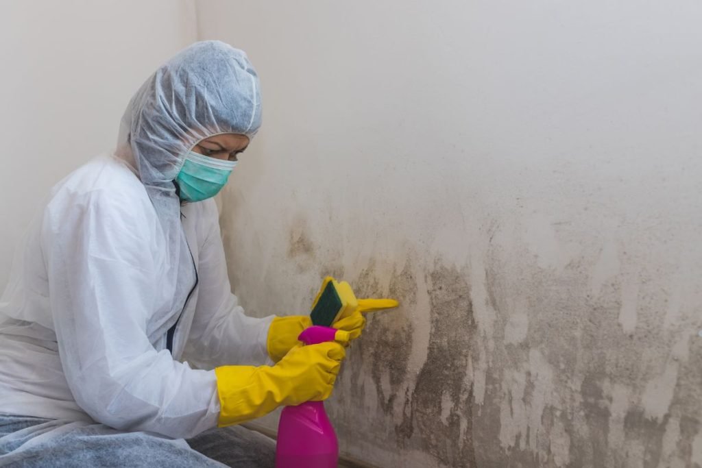 A woman in a white coat and rubber gloves cleans a wall with a spray bottle during a mold removal service.