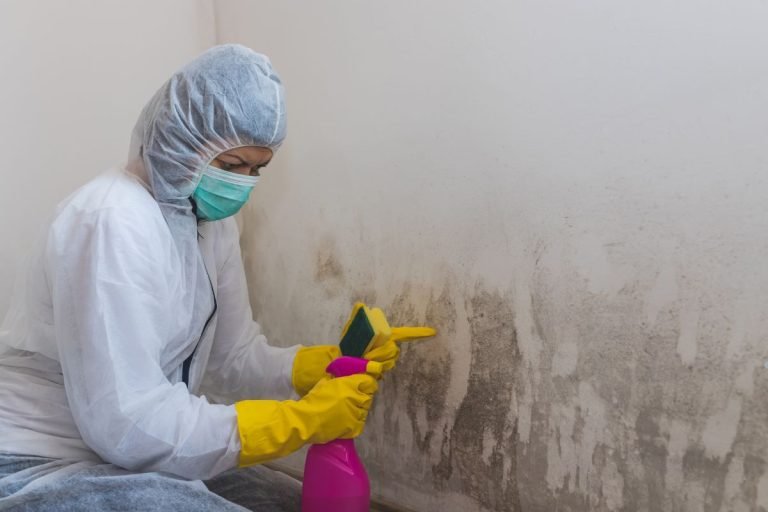 A woman in a white coat and rubber gloves cleans a wall with a spray bottle during a mold removal service.
